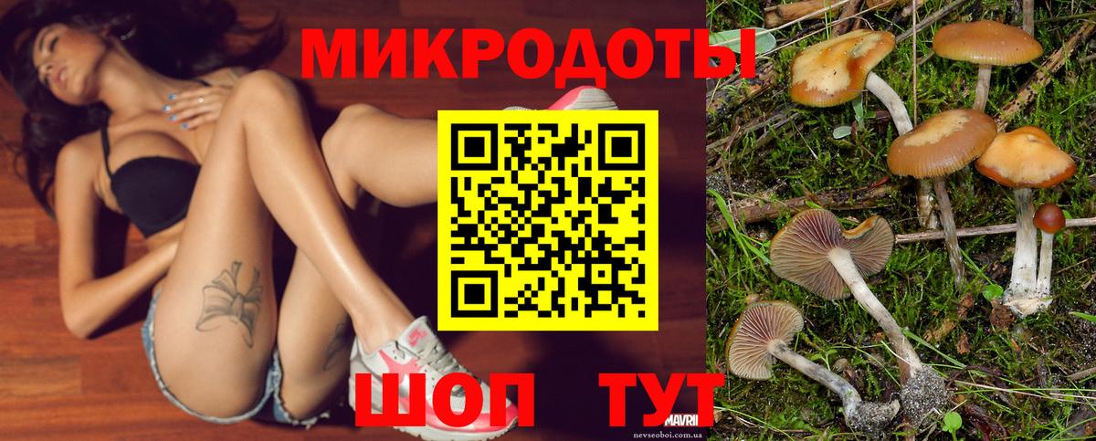 Псилоцибиновые грибы Psilocybe  Галлюциногенные грибы мухоморы  Вход с VPN  Альметьевск 