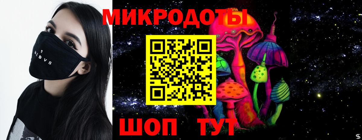 Галлюциногенные грибы Psilocybe Альметьевск